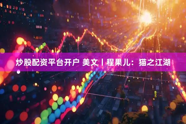 炒股配资平台开户 美文丨程果儿：猫之江湖